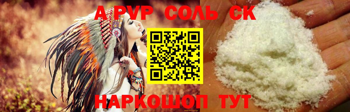 A PVP СК КРИС Нововоронеж