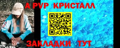 шишки Донской